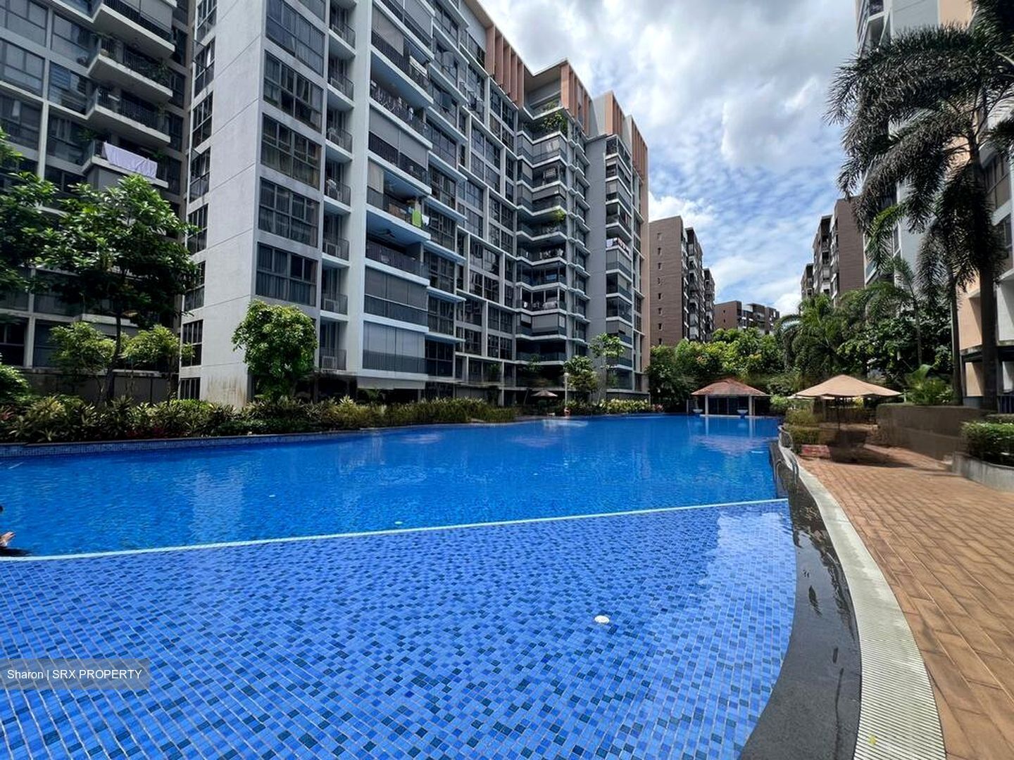 Forestville (D25), Condominium #480586671